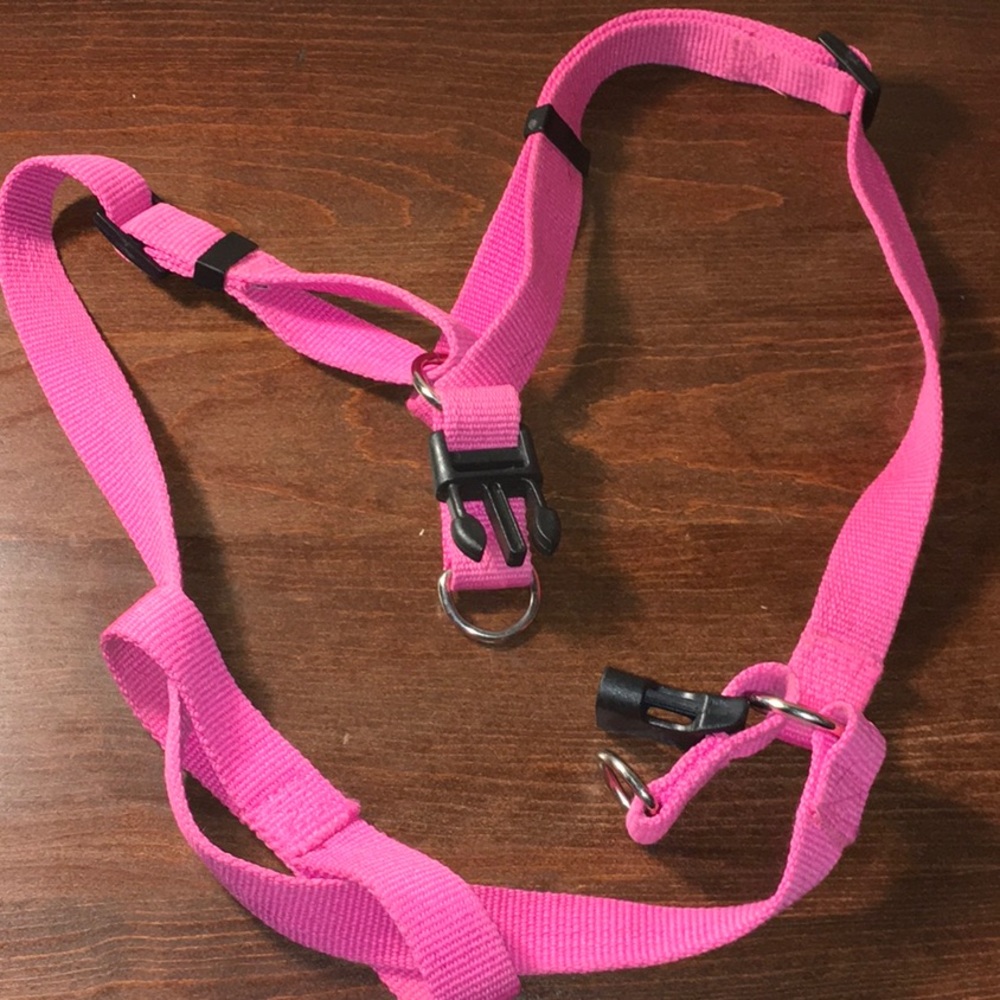 5/$20 Large Dog Harness Adjustable Lightly Used